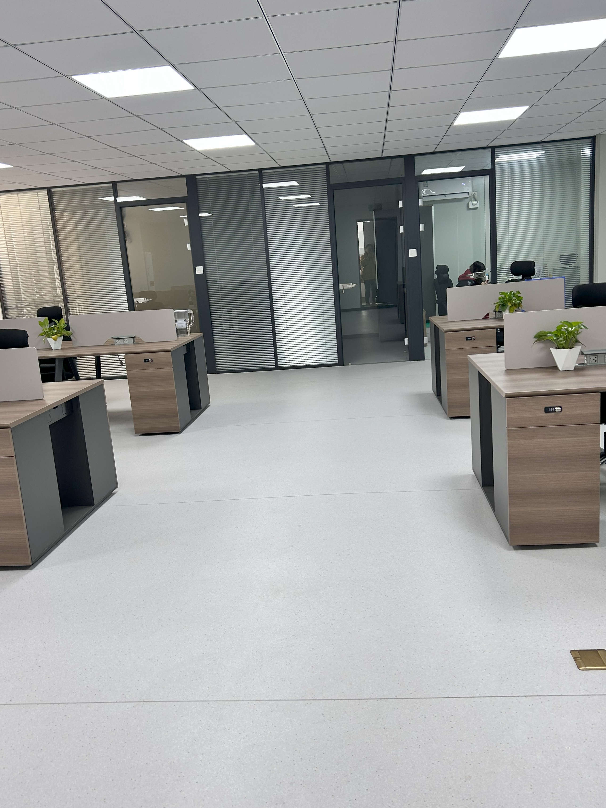 Company Profile